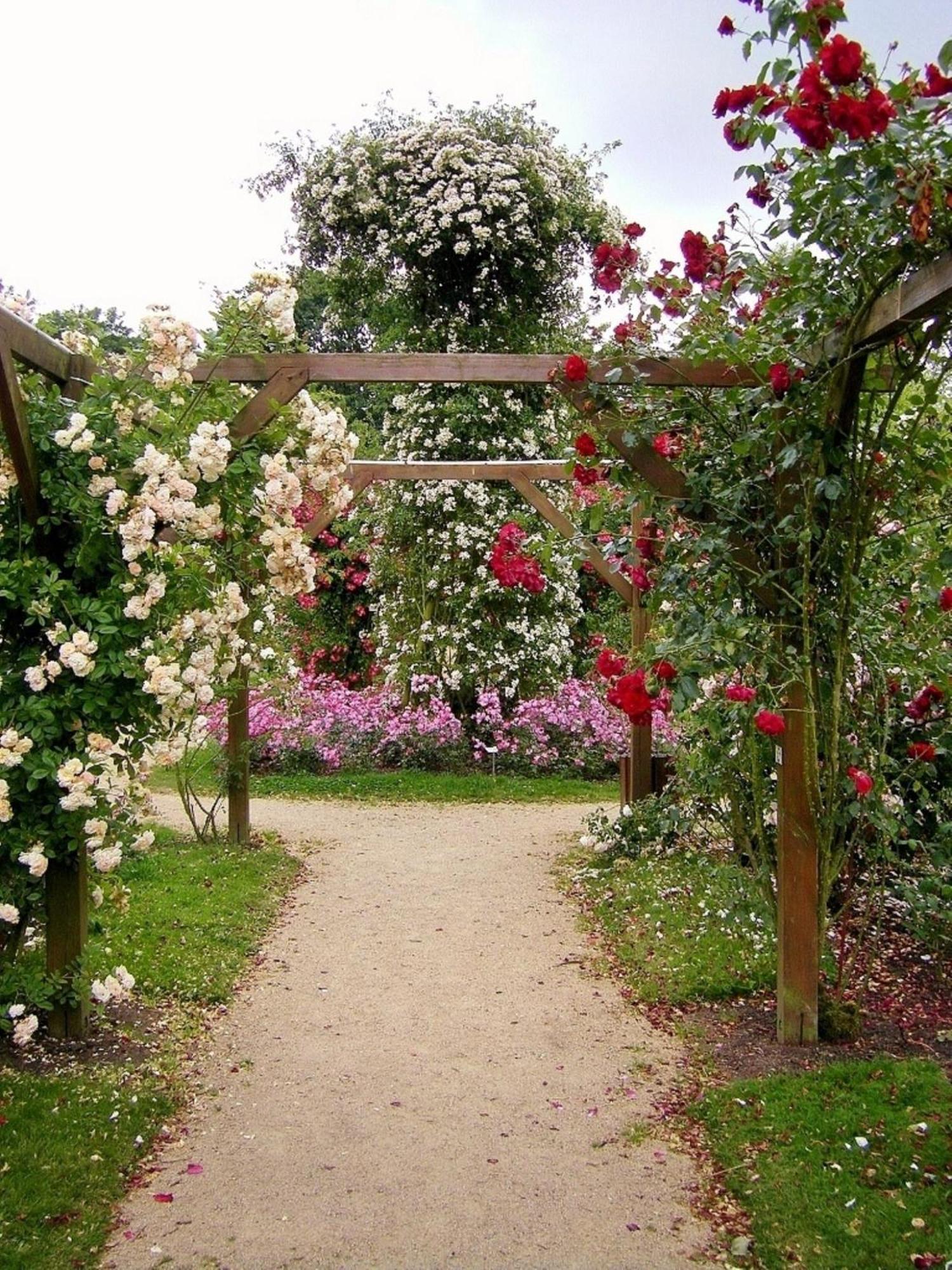 Bed and Breakfast La Cloue Sainte-Marie-du-Bois  Exterior foto