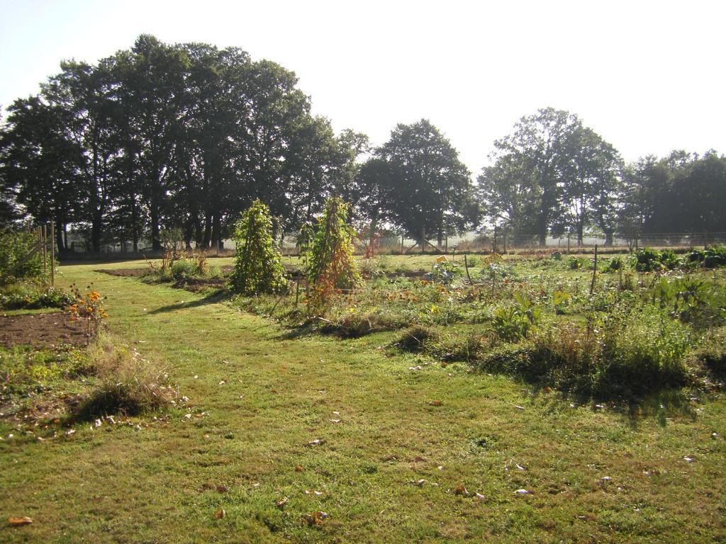 Bed and Breakfast La Cloue Sainte-Marie-du-Bois  Exterior foto