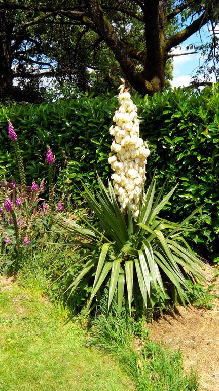 Bed and Breakfast La Cloue Sainte-Marie-du-Bois  Exterior foto