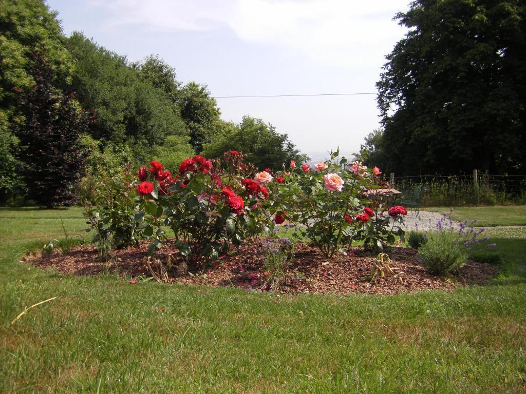 Bed and Breakfast La Cloue Sainte-Marie-du-Bois  Exterior foto
